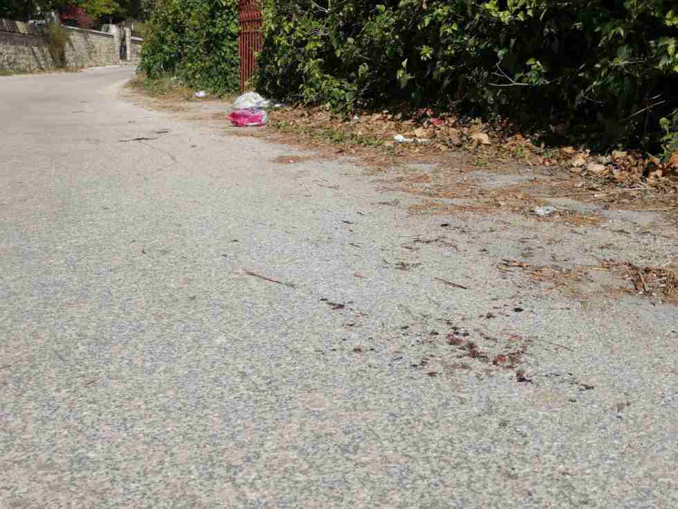 Εγκλήμα στη Ζάκυνθο: Σε εξέλιξη οι έρευνες της αστυνομίας