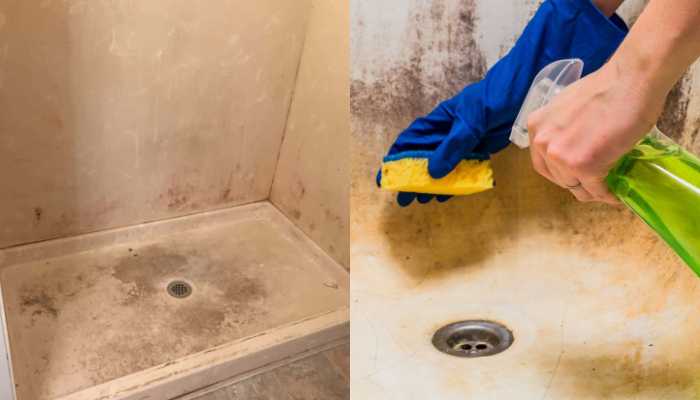 Tο Πιο Φτηνό και απoτελεσματικό Καθαριστικό για το Ντους που έχετε δεί!