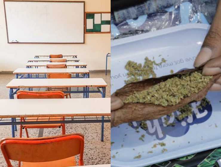 Skunk : Το ναρκωτικό που φέρνει σχιζοφρένεια προκαλεί καρκίνο και κυκλοφορεί στα σχολεία  (video)