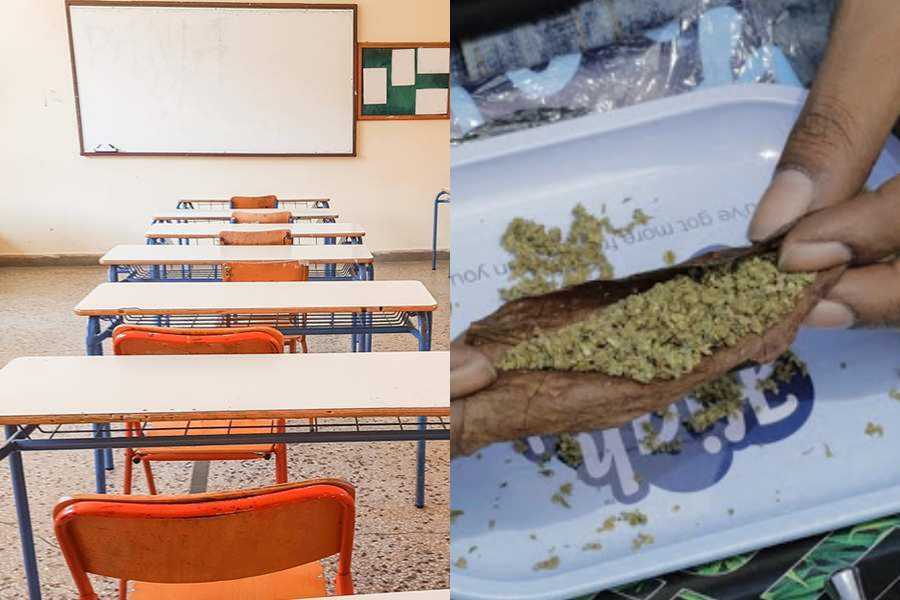 Skunk : Το ναρκωτικό που φέρνει σχιζοφρένεια προκαλεί καρκίνο και κυκλοφορεί στα σχολεία  (video)