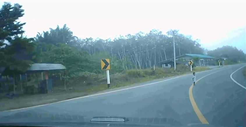 Η τρομακτική στιγμή που μωρό ξέφυγε από την προσοχή της γιαγιάς του και βγήκε στον δρόμο [βίντεο]