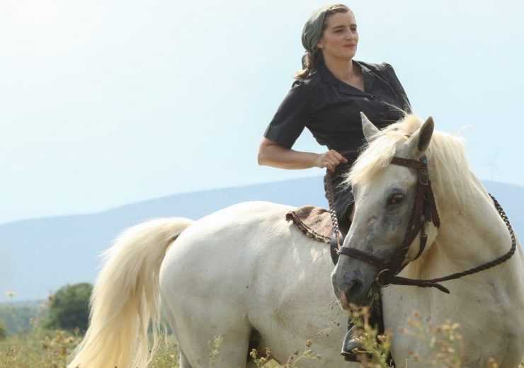 Άγριες Μέλισσες: Η Ελένη επιστρέφει στο Διαφάνι σε μια δραματική σκηνή