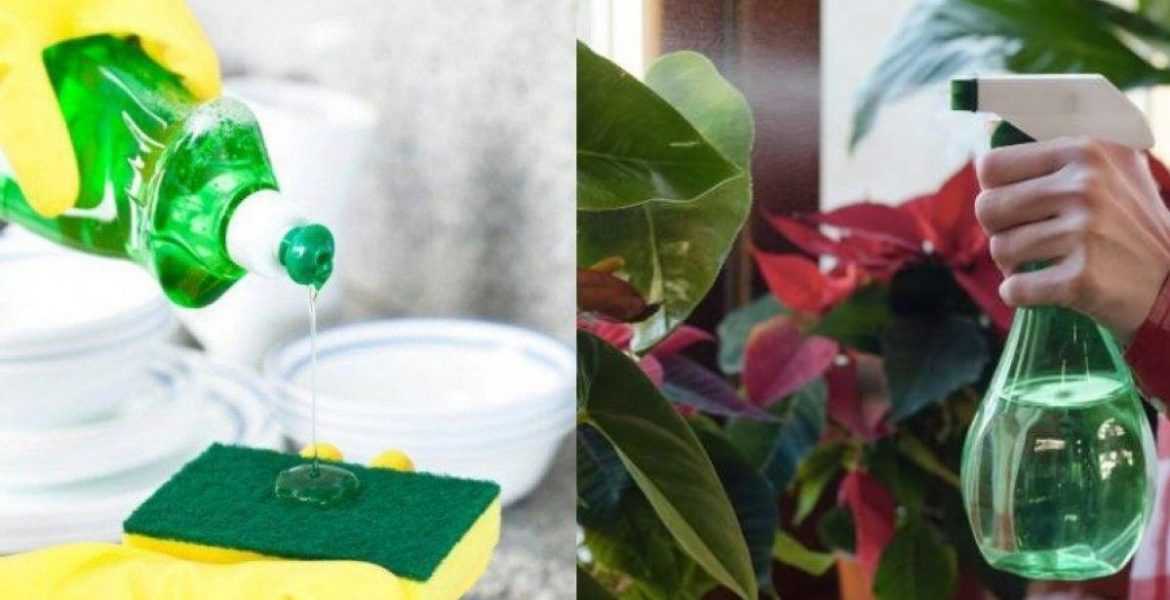 Υγρό πιάτων: 5 χρήσεις που θα σας αφήσουν άφωνους