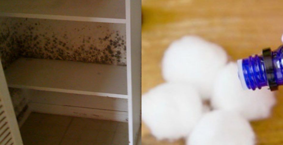 Το πιο εύκολο κόλπο για να μοσχοβολάνε τα ρούχα στη ντουλάπα φυσικά & ανέξοδα