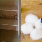 Το πιο εύκολο κόλπο για να μοσχοβολάνε τα ρούχα στη ντουλάπα φυσικά & ανέξοδα