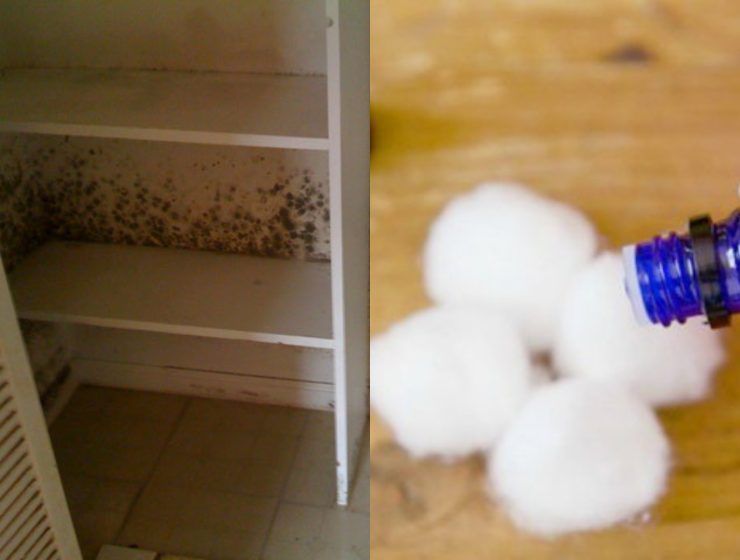 Το πιο εύκολο κόλπο για να μοσχοβολάνε τα ρούχα στη ντουλάπα φυσικά & ανέξοδα