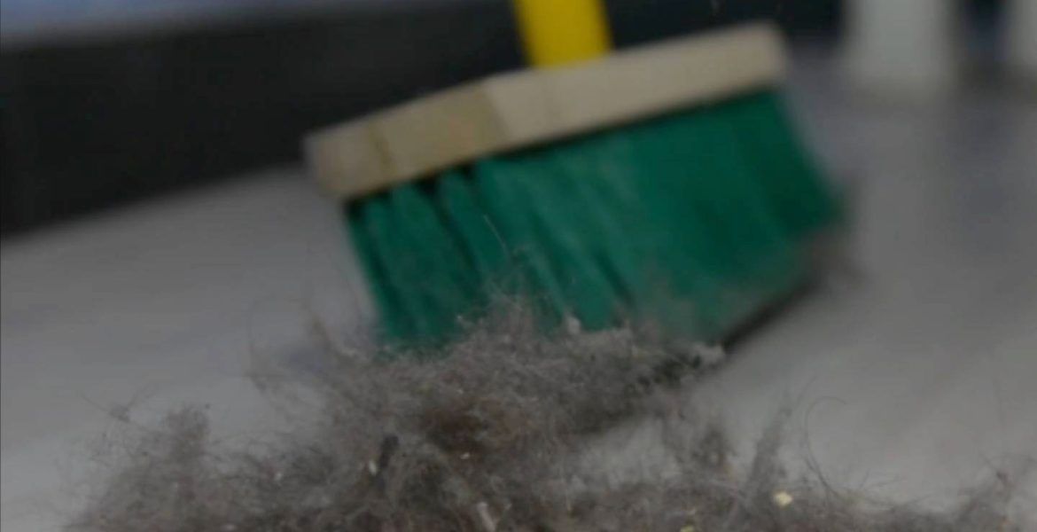 Αντίο σκόνη- Μυστικά για το ξεσκόνισμα που θα σου λύσουν τα χέρια