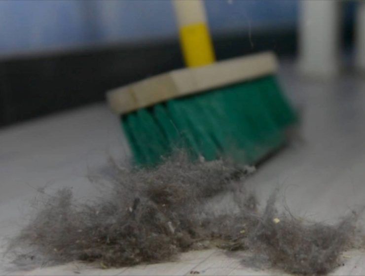 Αντίο σκόνη- Μυστικά για το ξεσκόνισμα που θα σου λύσουν τα χέρια